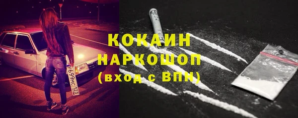 шишки Баксан