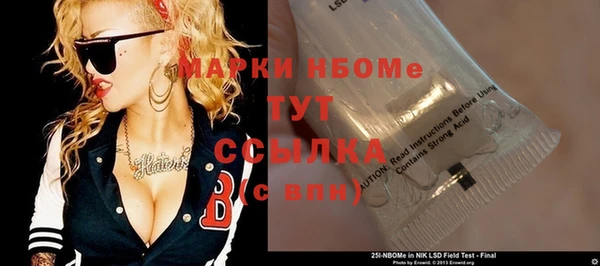 шишки Баксан