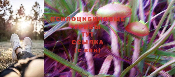 СК Балахна