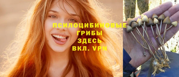 СК Балахна