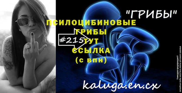 сатива Балабаново