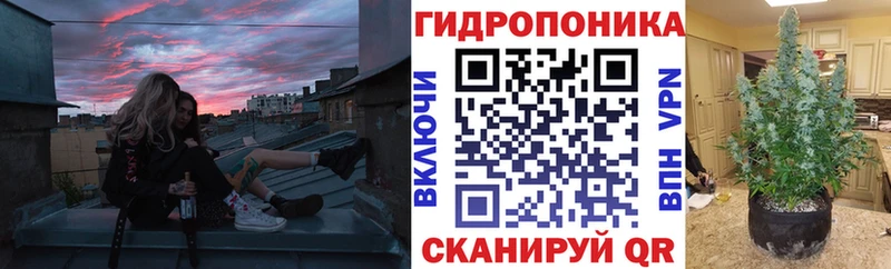 Бошки Шишки OG Kush закладки Кущёвская